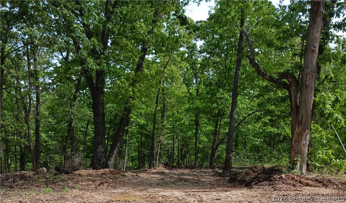 If you are looking for seclusion and serenity on an attractive 6.99 acres good for hunting, camping, or building a home, look no more and come see this wooded tract of land located only minutes from the 54,000-acre Lake of the Ozarks and just up the road from the Frank E. Carpenter Memorial Conservation area. Bring your hiking shoes and boots, as this property is great for hiking, nature walks and four-wheeling. It is also abundant with white-tailed deer and turkey that roam freely, and it is only a short drive from the blacktop Hwy. T in Stover. High-speed fiber-optic internet is available and electricity is nearby! Come take a look and make an offer!