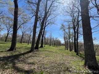 Timber Ridge - Land