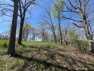 Timber Ridge - Land