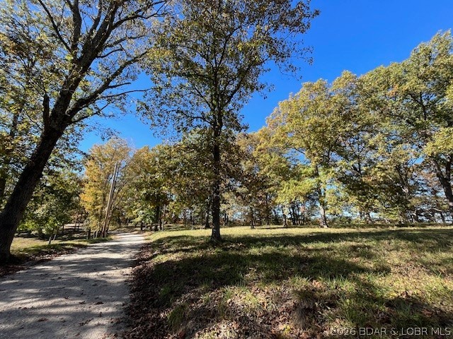 Timber Ridge - Land