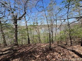Timber Ridge - Land