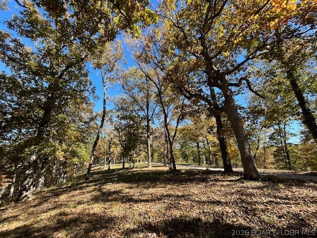 Timber Ridge - Land