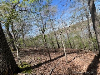 Timber Ridge - Land