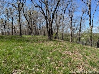 Timber Ridge - Land
