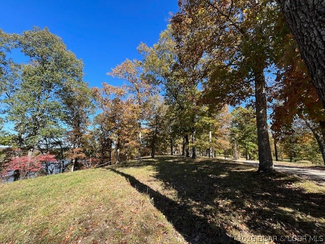 Timber Ridge - Land