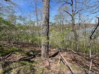Timber Ridge - Land