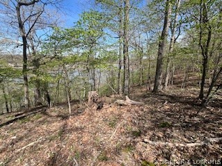 Timber Ridge - Land