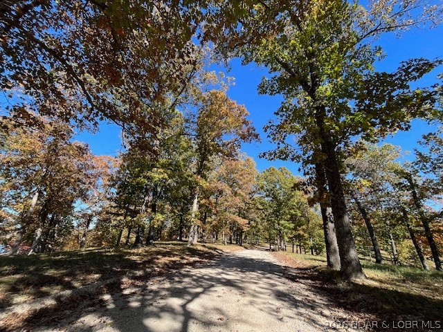 Timber Ridge - Land