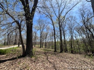 Timber Ridge - Land