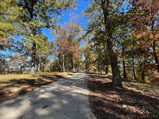 Timber Ridge - Land