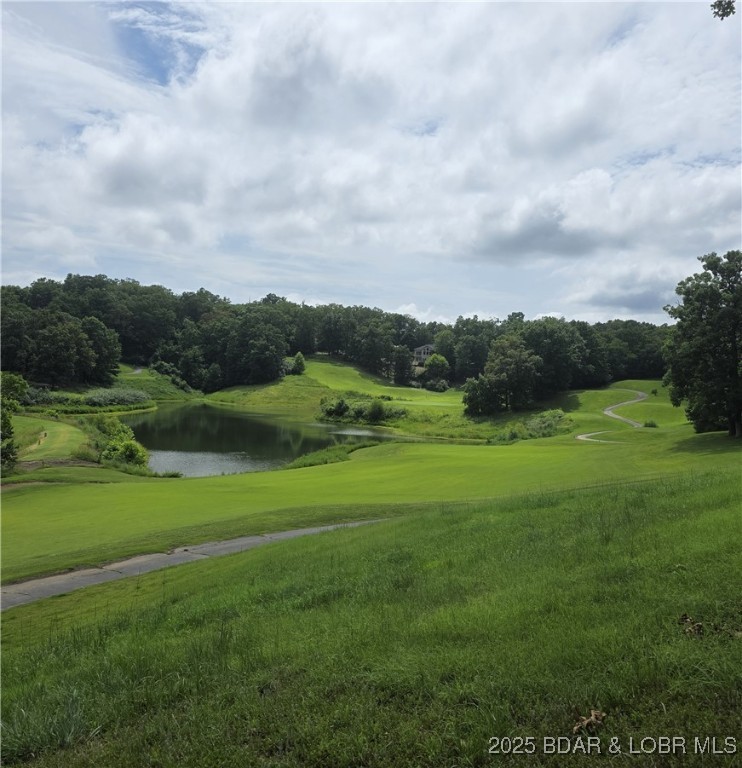 Looking to build?  Not only does this level lot, in Four Seasons, have amazing views of the Ridge golf course, electric, sewer and water are already on it and the survey, Topo and HOA required tree documentation have already been done, just bring your house plan and get started building your dream home.  Just a short way down Horseshoe Bend, this location gives you perfect access to Bagnall Dam, restaurants, shopping and nightlife, plus Four Seasons resort amenities include indoor/pools, pickleball, boat ramps, playground and clubhouse.  For the best of both worlds, you could keep your boat at Ozark Yacht Club Marina so you could play a round of golf in your backyard and take a sunset boat cruise that evening.  It's time to enjoy everything you've worked so hard for so call today and set up an appointment to see where your building your new dream home today.