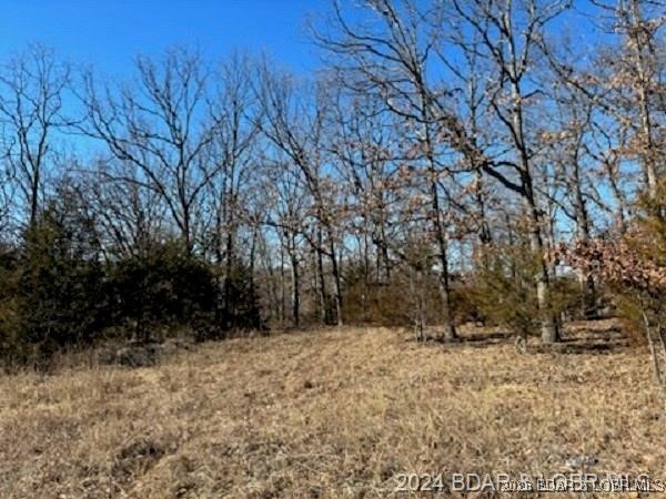 Three Camelot Building Lots on 1 Acre. Perfect for your special Home with Water, Sewer and Electric available. Camelot Amenities are included with 2 Community Pools, 2 Club Houses, Lake Access Boat Ramp, Fishing Dock, Tennis Courts, Campground and Horse Stables. Close to area Shopping, Medical and Restaurants.