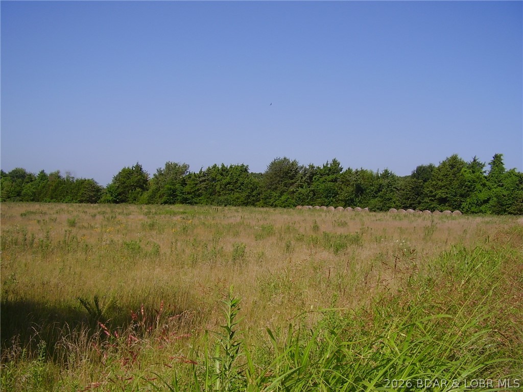 What a great 40 ac tract of land to put your Dream Home on and raise Livestock and lots of Pasture for hay. Has Elect, Well, Lagoon and a nice pond close to build your Home..Beings now for hay and getting LOTS of Big Bales!!!! Some trees are in different areas make it more private. Great Tract of land so GO see it for yourself!!!! Good roads to property!! For the Hunters there is about 12-16 ac for Great deer Hunting in the woods !!!! Home and Schouse next door also has 40 ac is avail to buy