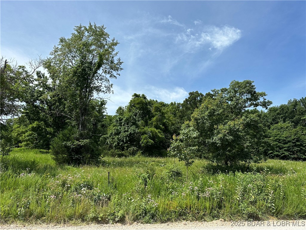 Holiday Hills - Land