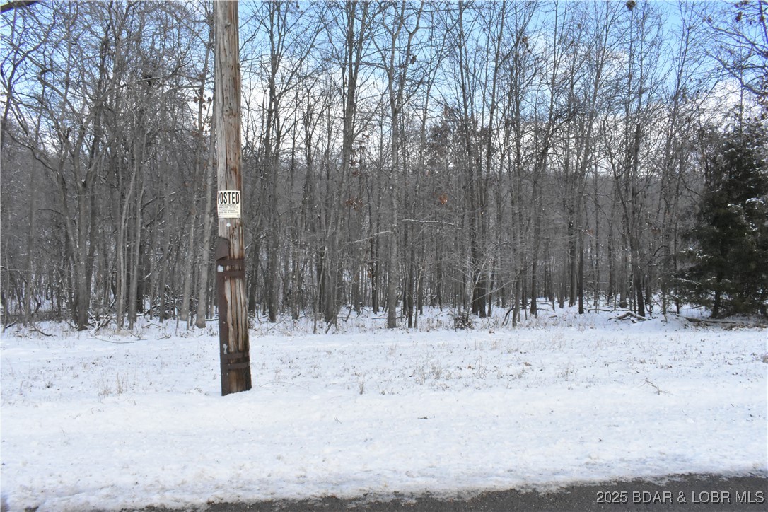 8 Acres of Opportunity in Camden County!Discover your dream property nestled in Camden County, just minutes from all the conveniences of town. This stunning 8-acre parcel features gentle topography, making it ideal for your future home, outbuildings, or even a hobby farm. Located within the sought-after Camdenton School District and accessible via a hard-surface road, this property combines privacy with practicality. Enjoy the perfect balance of seclusion and convenience, with easy access to local stores, restaurants, and amenities. Whether you’re looking to build your forever home, create a workshop, or establish a private retreat, this property offers endless possibilities. Don’t miss this rare chance to own a piece of paradise! Contact us today to schedule a tour and make your dream a reality.Opportunities like this won’t last long!