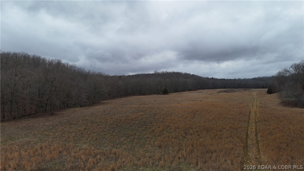 Out of Area - Land
