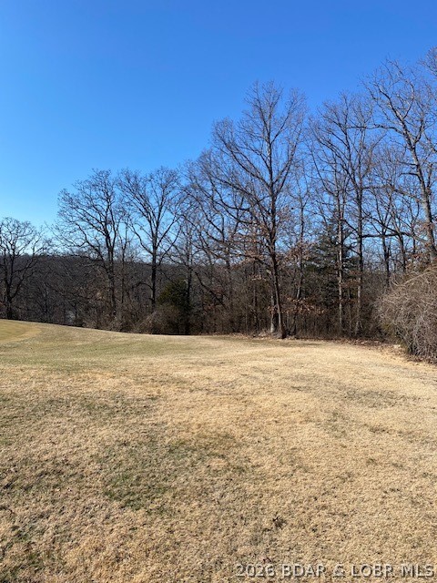 Prime Building Opportunity in Country Club Cove! Located in the highly desirable Country Club Cove development, this is one of five contiguous lots offering endless possibilities for builders and developers. Each lot can be purchased individually or as a package deal for a larger project. These lots back up to holes 8 & 9 of The Cove Golf Course, providing stunning views and added appeal for future homeowners. A tree-lined easement separates the lots from the course, ensuring both privacy and tranquility. With easy access to Horseshoe Bend Parkway and just minutes from shopping, dining, and entertainment, this location is perfect for creating sought-after homes in a prime Lake of the Ozarks community. Whether you're looking to build a single showcase home or develop multiple properties, these lots offer the flexibility and location builders want.