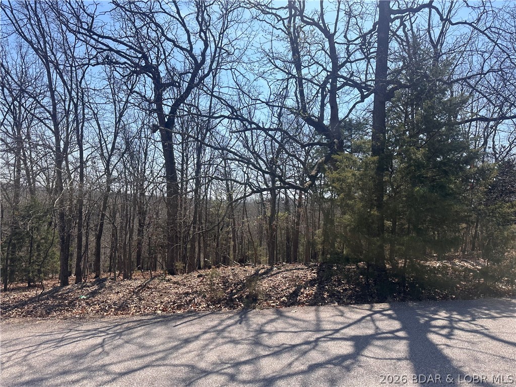 Build your dream home in the highly sought-after Camelot Estates community! This beautiful wooded lot backs up to green space, providing added privacy and a peaceful natural setting. Perfect for creating your ideal lake retreat.
Enjoy full access to Camelot’s extensive amenities, including two swimming pools, tennis courts, a fishing boathouse, boat ramps, and water access ideal for kayaking and lake enjoyment.
The property also features central water and central sewer, making your build process more convenient and cost-effective. Whether you're planning a full-time residence or a weekend getaway, this lot delivers both lifestyle and long-term value.
Don’t miss your chance to own in one of the Lake’s most established, amenity-rich communities—this is where your lake lifestyle begins.