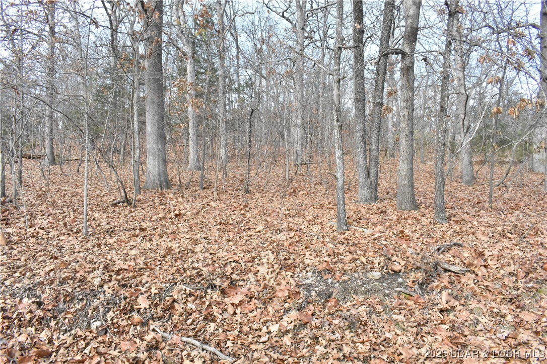 Forest Hills Acres - Land