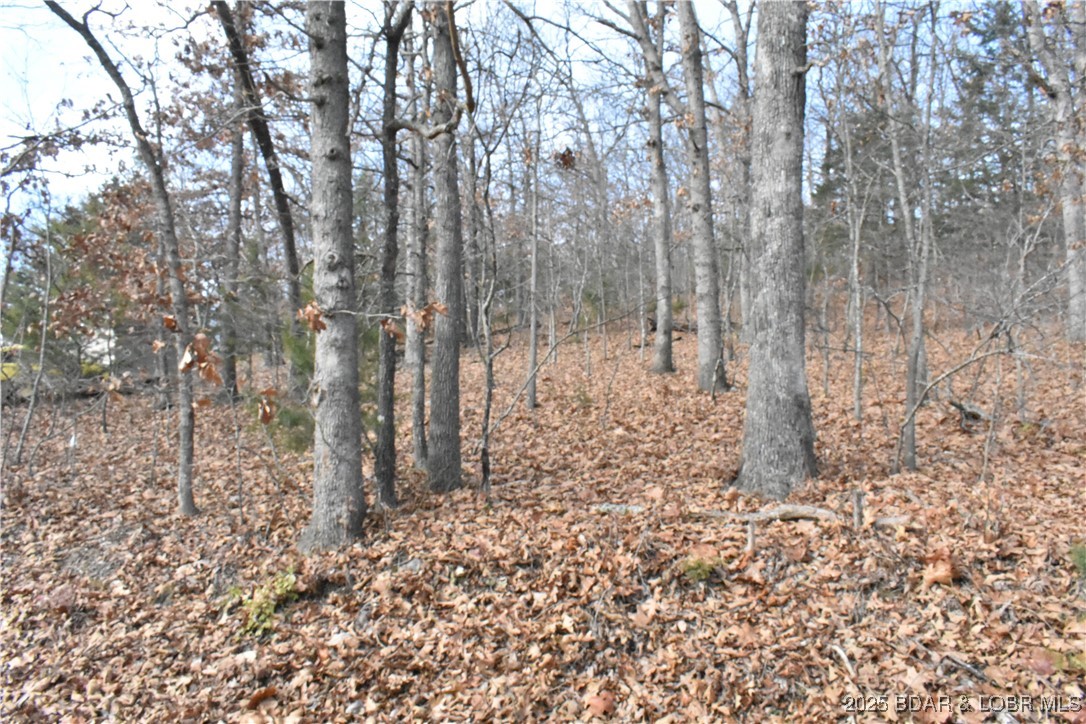 Forest Hills Acres - Land