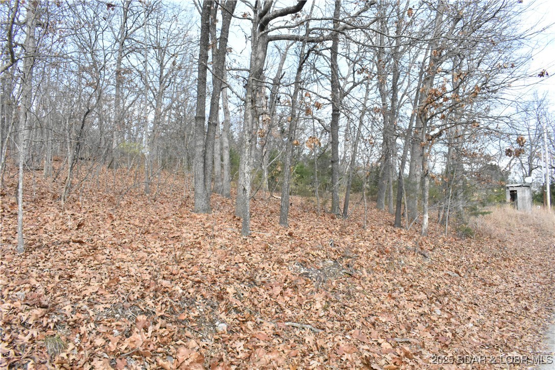 Forest Hills Acres - Land