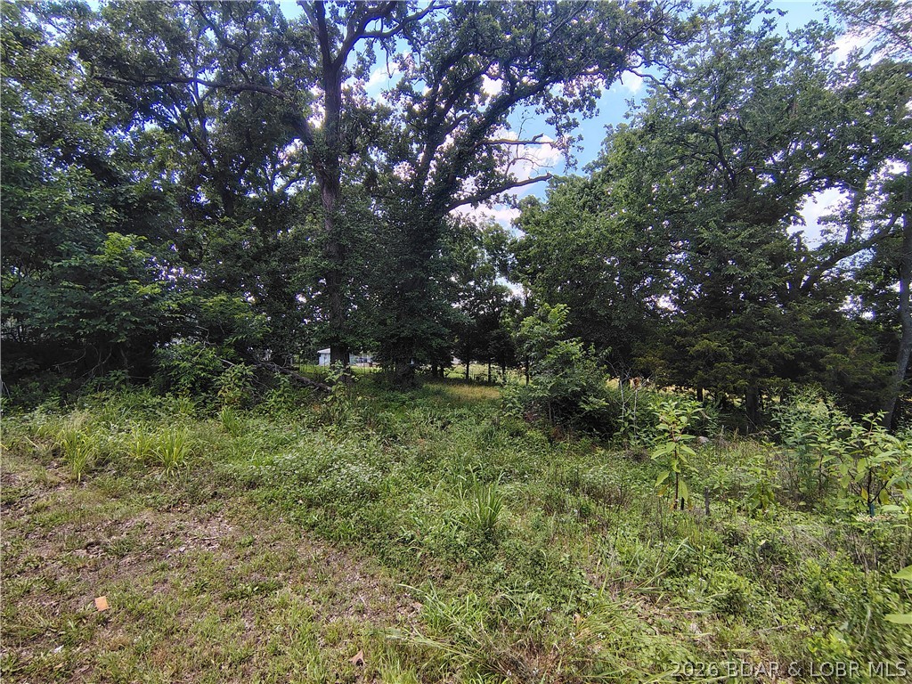 None - Residential