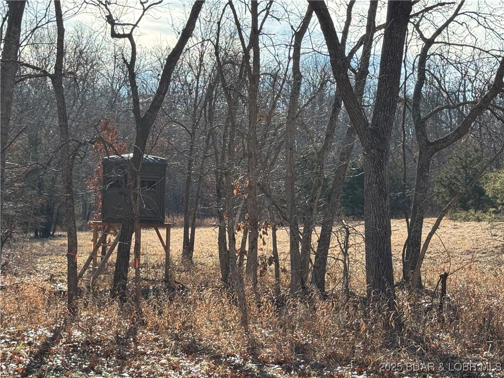 None - Land
