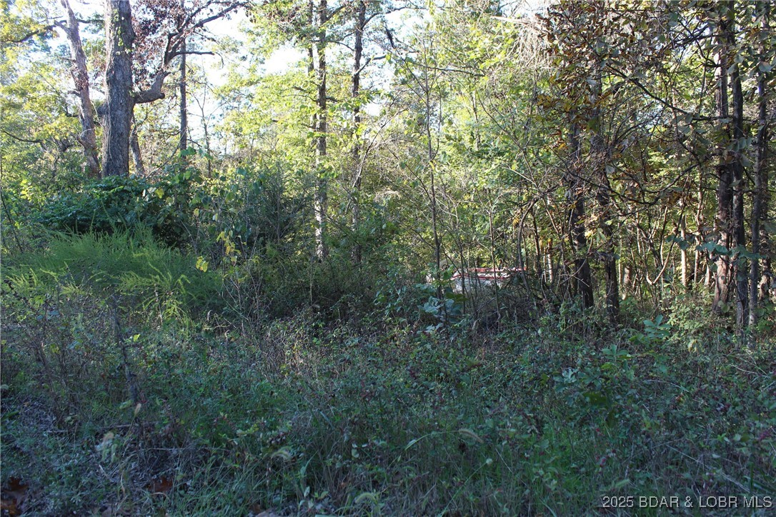 Finding affordable land is getting harder and harder, which makes this wooded lot a great opportunity. Tucked away in a peaceful setting with plenty of mature trees, you'll have the privacy and flexibility to create the property you've been envisioning. Electric is available at the road, helping simplify future development, and a nearby convenience store means you're never far from fuel, snacks, or everyday necessities. Whether you're looking for a future homesite, a weekend retreat, or a long-term investment, this property offers excellent value and plenty of possibilities at a price that's hard to find today.