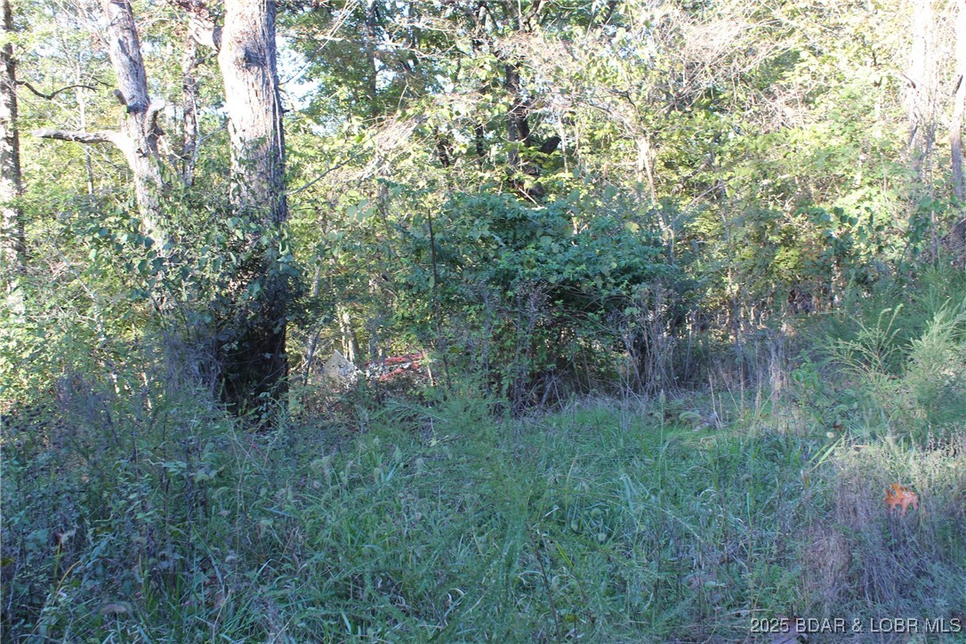 Ivy Bend - Land