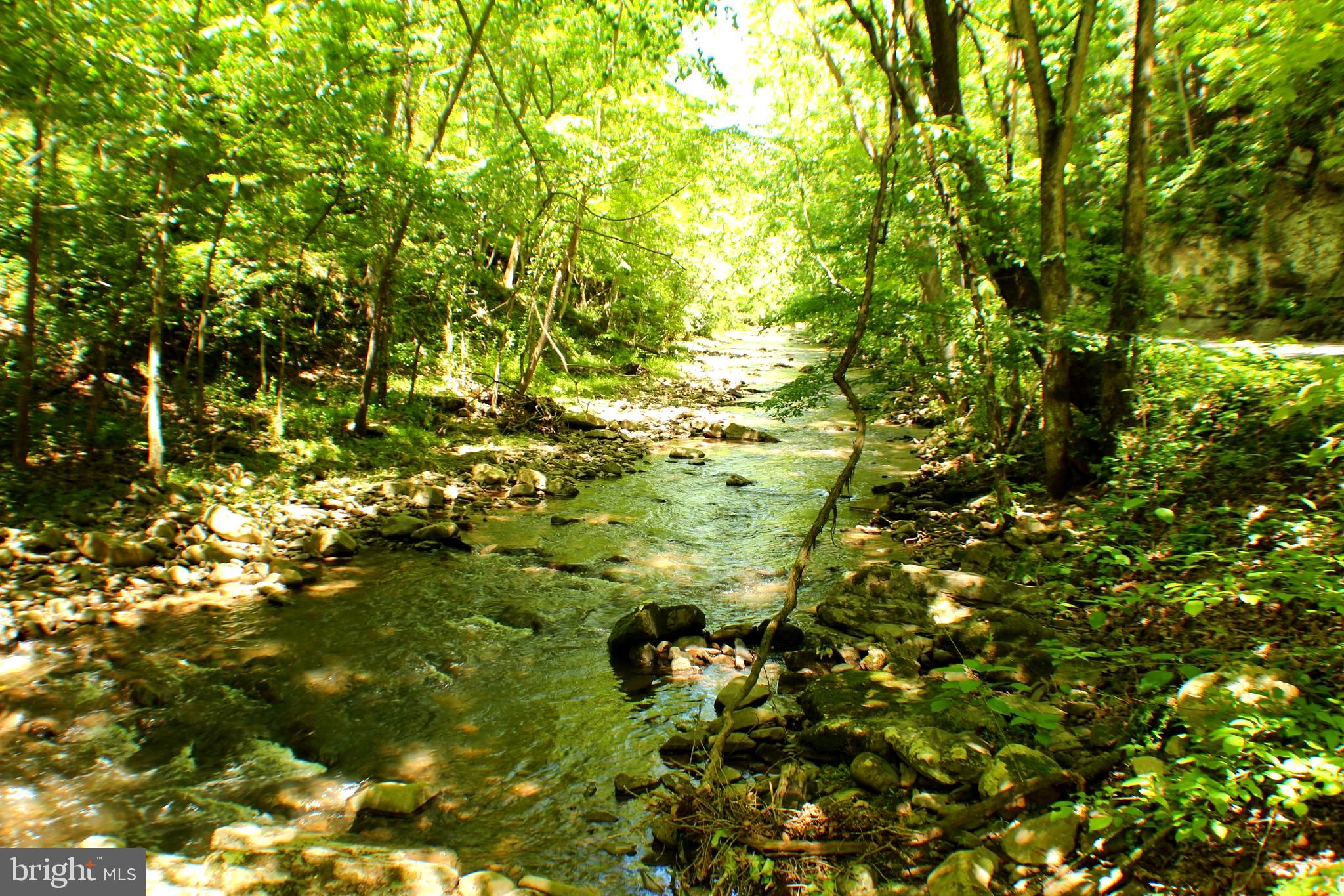 The Possibilities for this parcel are as Endless as are the VIEWS!! 127 UNRESTRICTED Acres in the Heart of the TROUGH & Potomac Highland! This property features an Unmatched Variety of Land Types ranging from, Wooded Acreage with Mature MARKETABLE TIMBER & Rock Outcroppings that can be found along Stoney Run that flows along the property. As a bonus this property adjoins WV STATE LAND -WV Wildlife Management which gives the opportunity for additional acreage to roam. Whether your desire is Hunting, Recreation, Entrepreneurship, Investment or Building your Dream Home this property has it all! What is more important than LOCATION?! Just minutes from the DNR Public RIVER ACCESS. A short trip to town for all the amenities.  Less than 2 Hours to DC, and a short drive to the National Forest, River Fun & Nearby Ski Resorts. Jump on this Amazing Opportunity Today and Give A Call For A Showing!