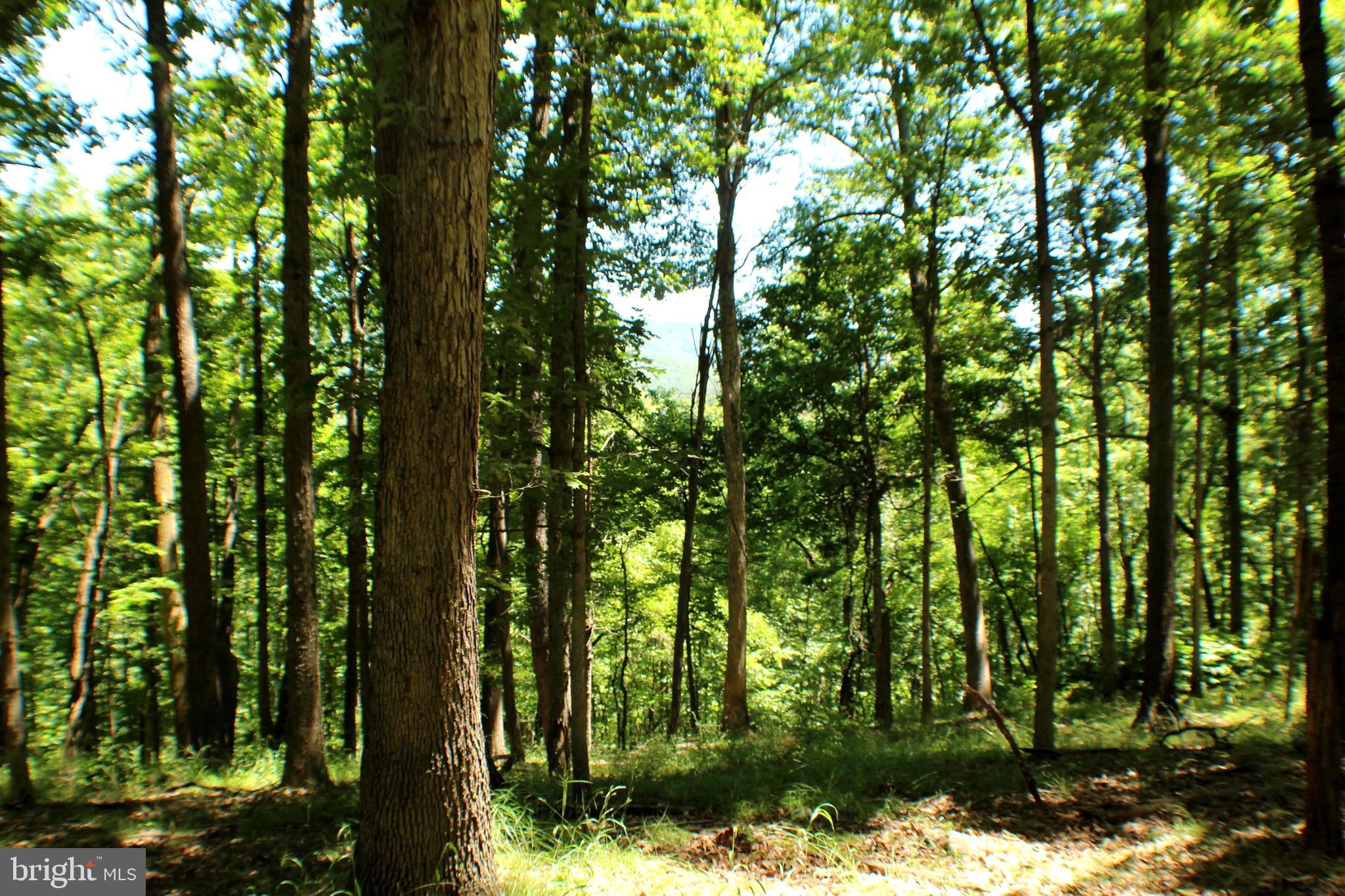UNRESTRICTED LAND - Land