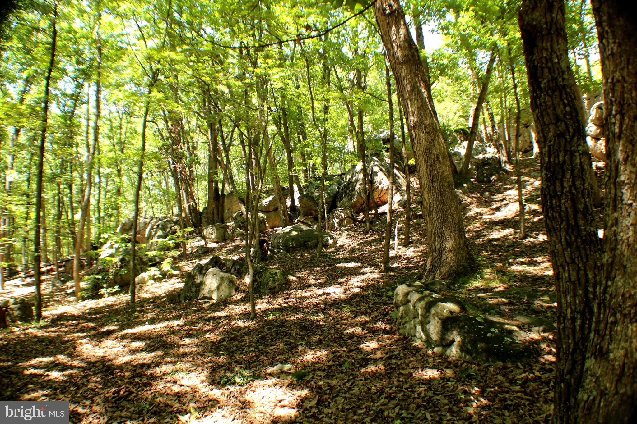 UNRESTRICTED LAND - Land