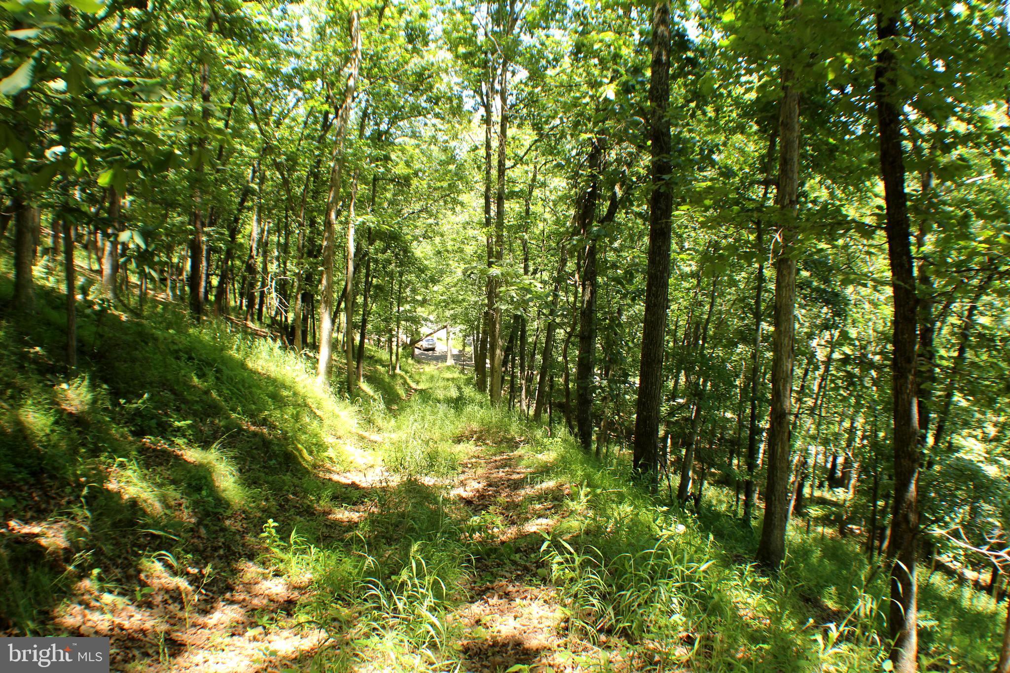 UNRESTRICTED LAND - Land