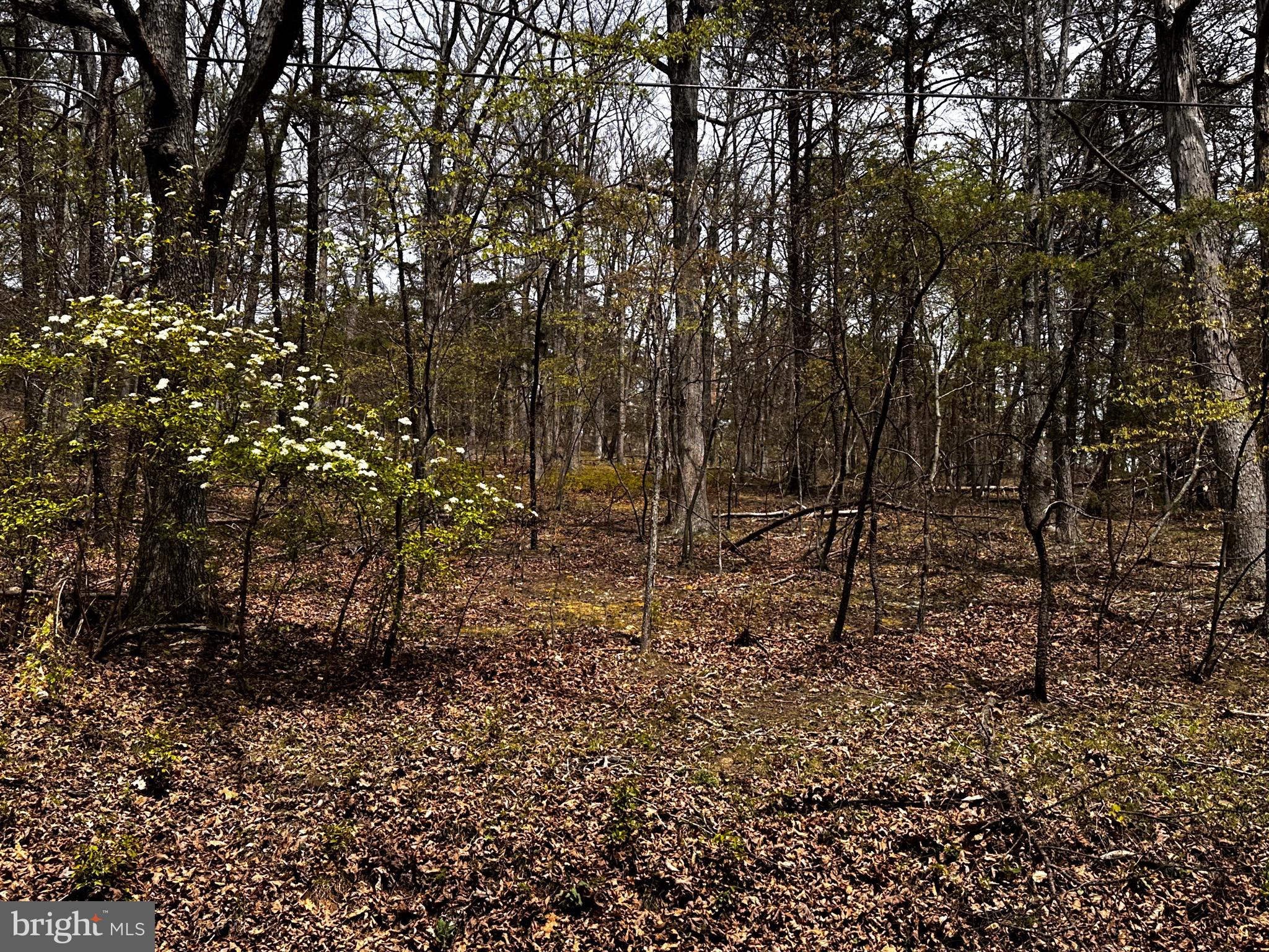 SUGAR RUN - Land