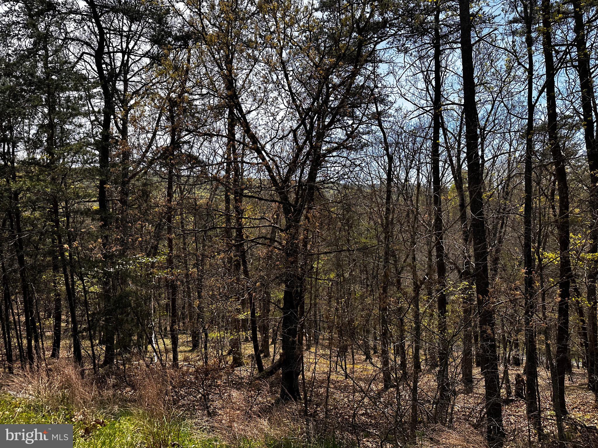 SUGAR RUN - Land