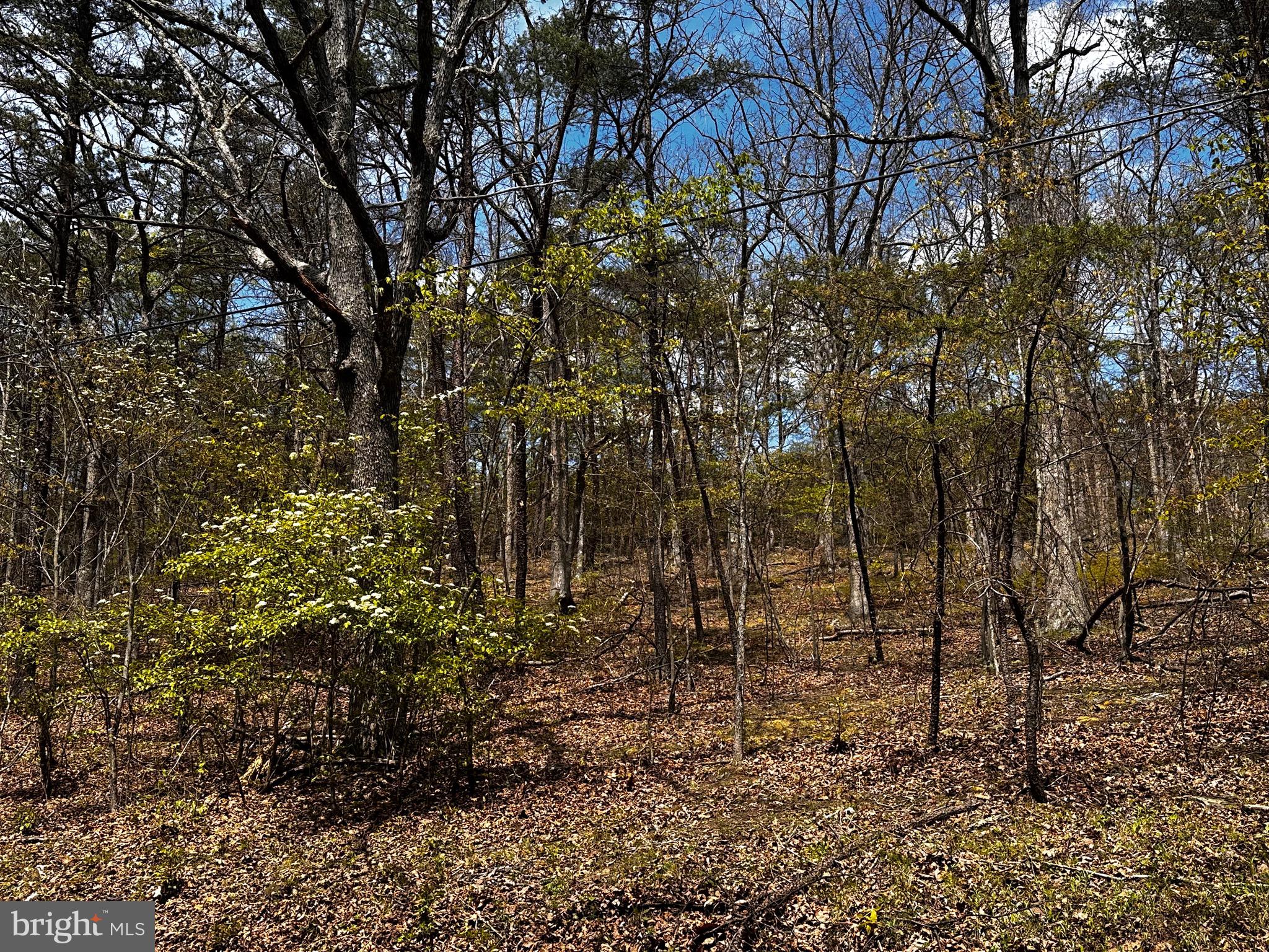 SUGAR RUN - Land