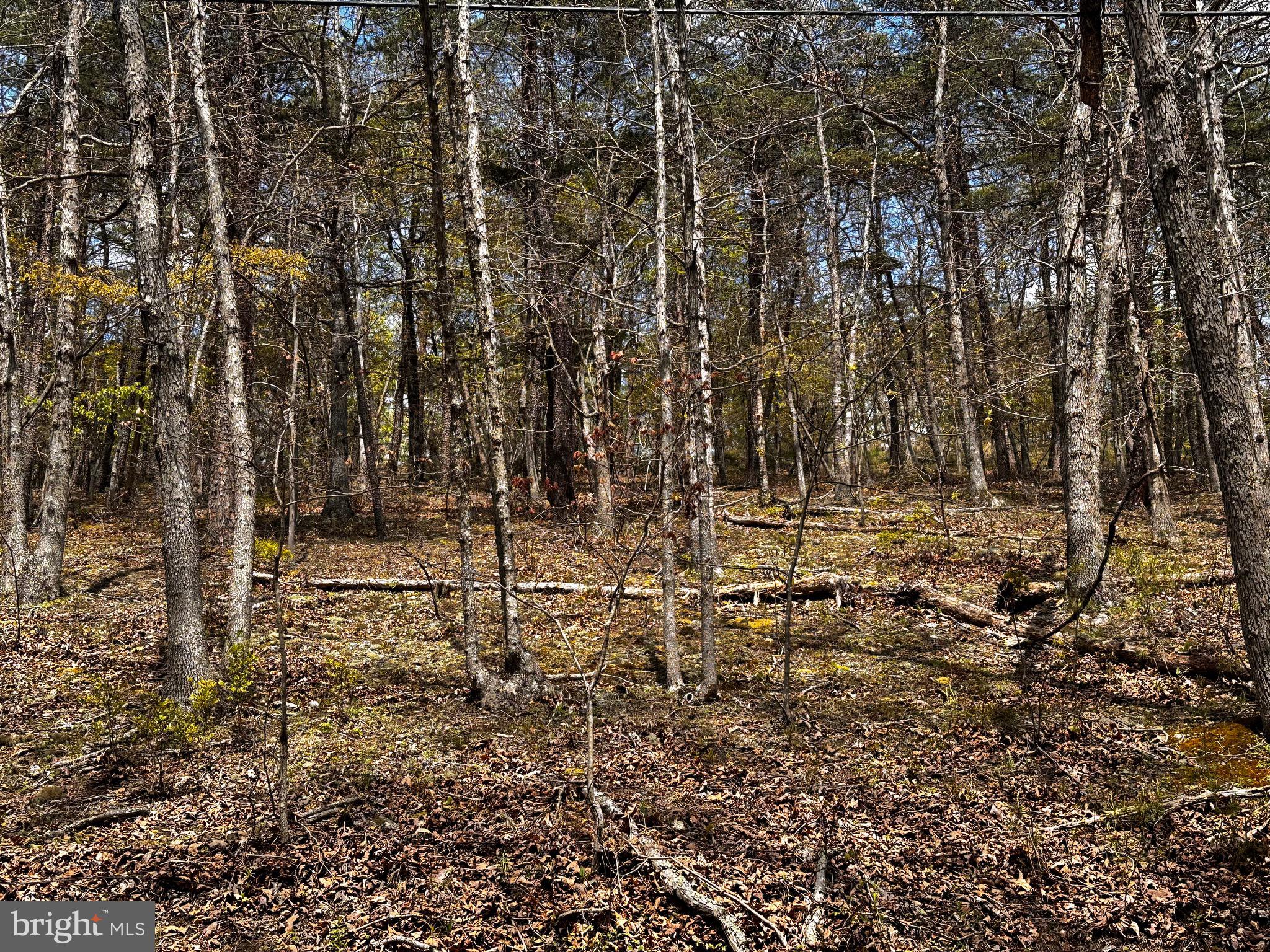 SUGAR RUN - Land