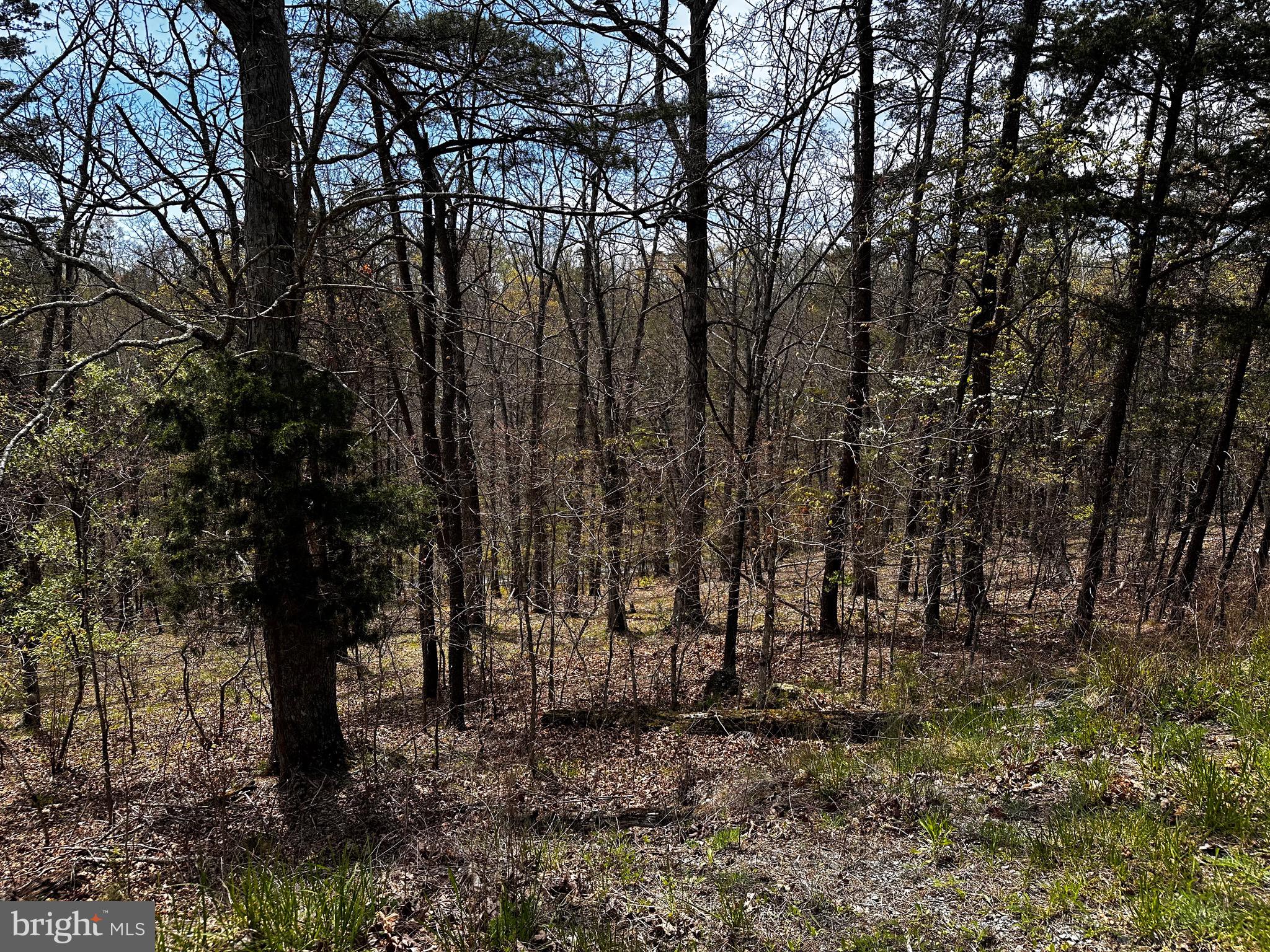 SUGAR RUN - Land
