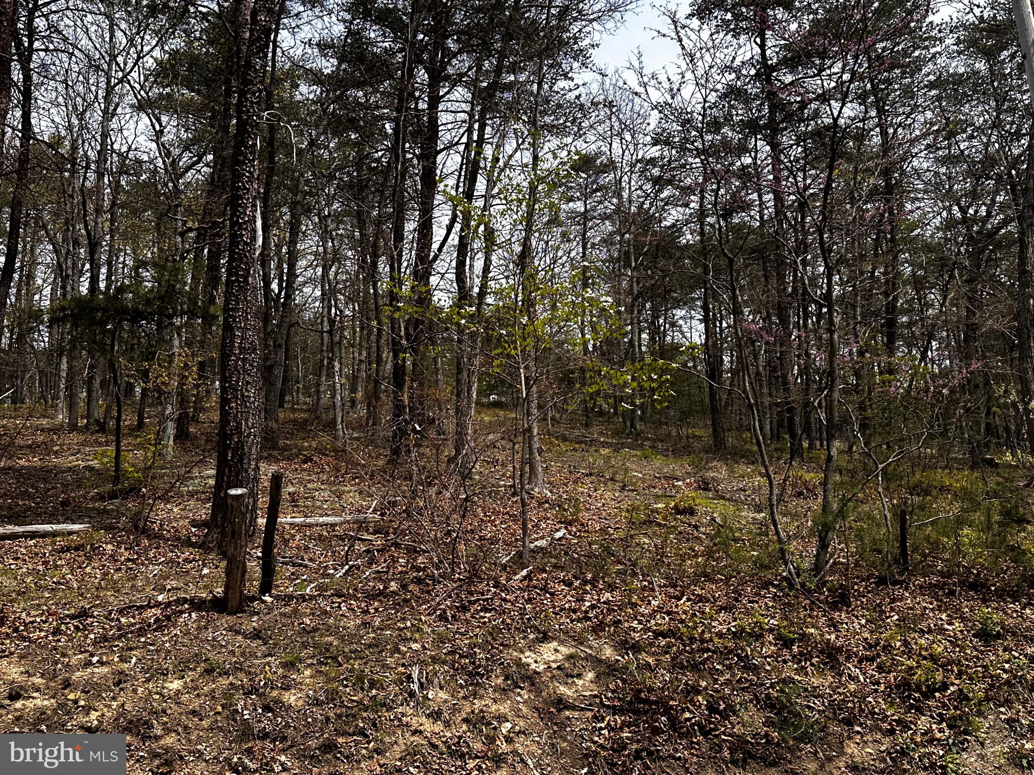 SUGAR RUN - Land