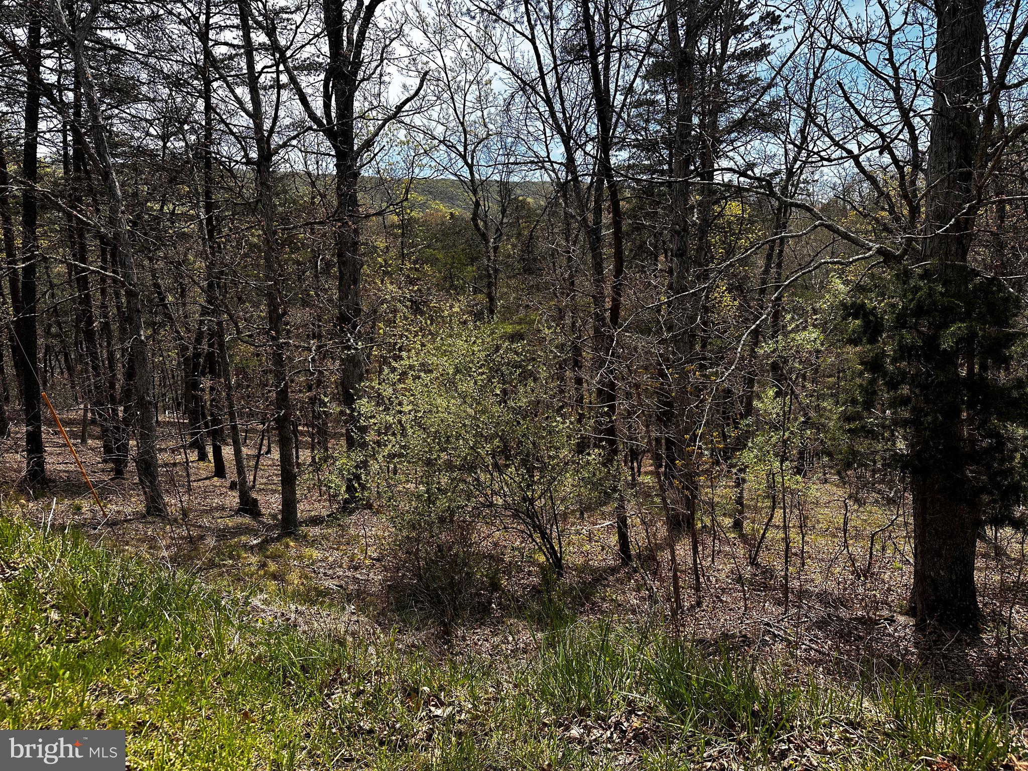 SUGAR RUN - Land