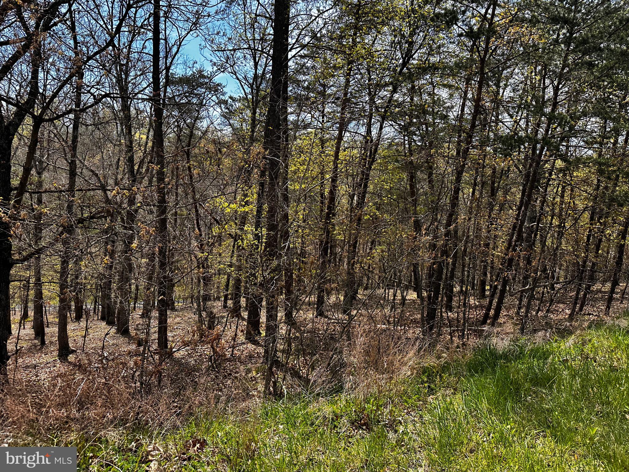 SUGAR RUN - Land