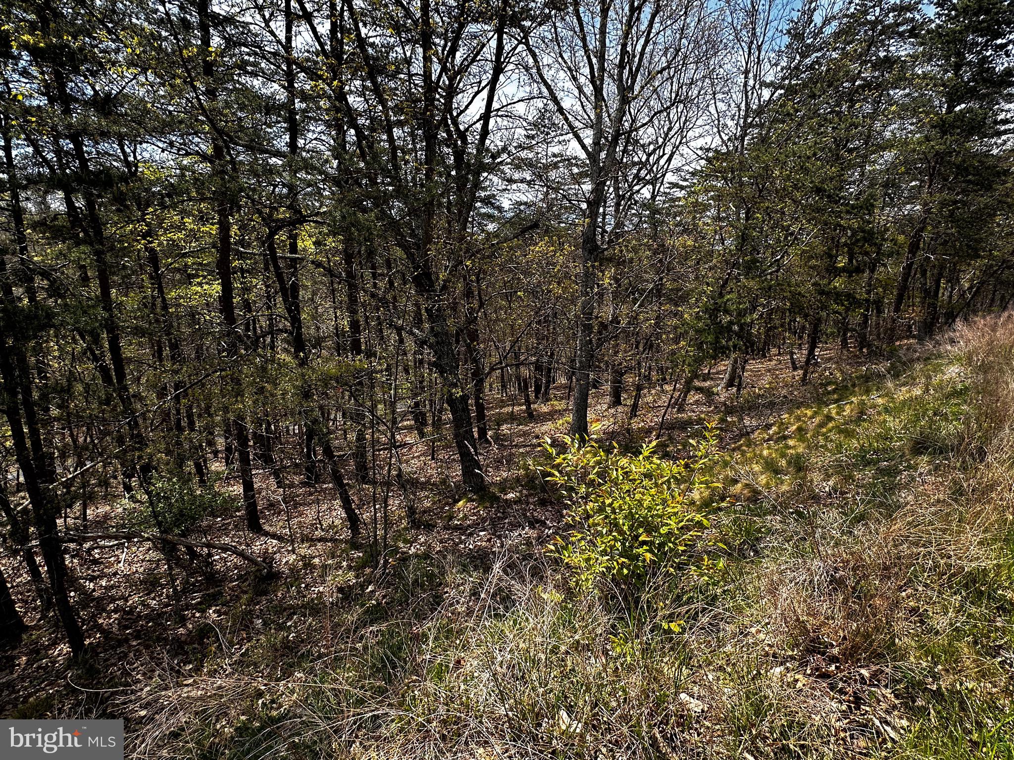 SUGAR RUN - Land