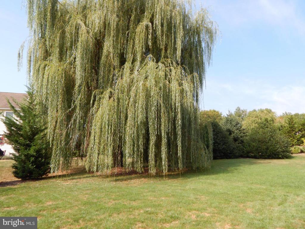 SOUTHGATE - Residential