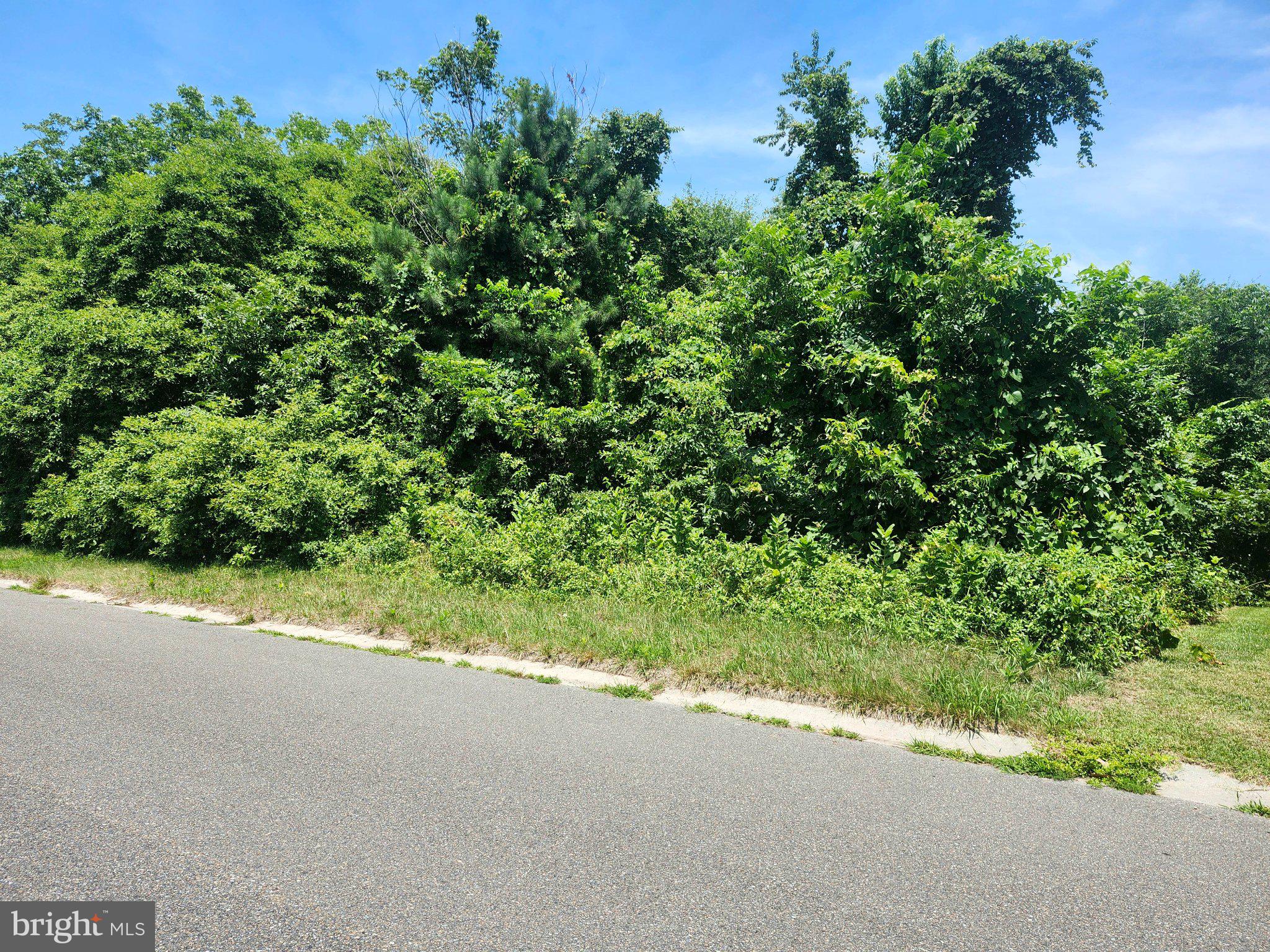 The seller is welcoming all offers with the right terms. The seller wants this lot to show at it's best and is getting estimates to have it brushed hog.  So, to build your dream home nestled within the prestigious Wellington Estates, this exceptional 0.78-acre lot offers a rare opportunity to create your own home in an exclusive and serene environment.  Located in a tranquil cul-de-sac, this parcel of land is perfectly positioned to provide both privacy and a sense of community, making it an ideal canvas for your luxurious lifestyle. Imagine waking up each day surrounded by the beauty of nature, with ample space to design a residence that reflects your personal style and aspirations. The generous lot size allows for expansive outdoor living areas, lush gardens, and the possibility of a stunning pool or outdoor entertainment space, perfect for hosting gatherings or enjoying peaceful evenings under the stars. The location is conveniently situated less than 10 miles from the nearest airport, ensuring that travel is a breeze while still providing a serene retreat from the hustle and bustle of city life. This prime location allows for easy access to fine dining, shopping, and recreational activities, all while maintaining the tranquility of a suburban life. The absence of any association fees or restrictive covenants gives you the freedom to design and build without limitations, allowing your vision to come to life in a way that is uniquely yours. Whether you envision a modern masterpiece or a classic estate, this lot provides the perfect foundation for your architectural dreams. With no additional parcels to consider, this lot stands alone as a singular opportunity to invest in a lifestyle defined by luxury and exclusivity. The surrounding area is characterized by beautifully crafted homes, enhancing the overall appeal and value of your investment. Seize the chance to create a sanctuary that embodies your vision of home, where every detail is tailored to your desires. This is more than just a piece of land; it's an invitation to a lifestyle of elegance, comfort, and endless possibilities. Embrace the opportunity to build your legacy in Wellington Estates, where your dream home awaits.