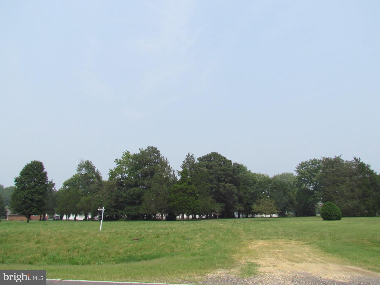 SINGLETREE - Land