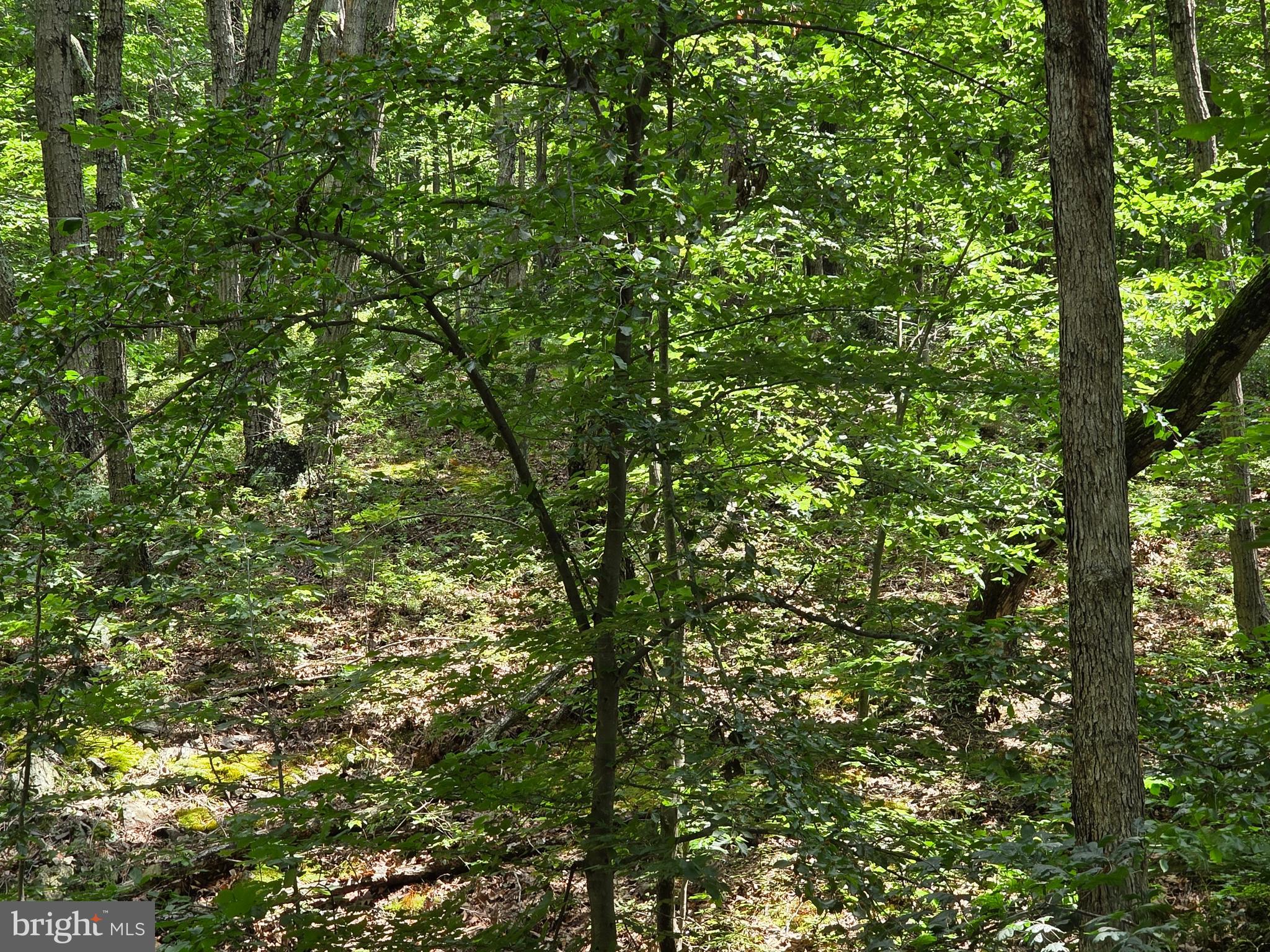 This 5.01 acre parcel offers a peaceful setting while being just 5 minutes from the Town of Front Royal and Interstate 66.  Hillandale Rd offers frontage at two points on this parcel, offering the unique ability to select the frontage that best meets your desires for new home construction.