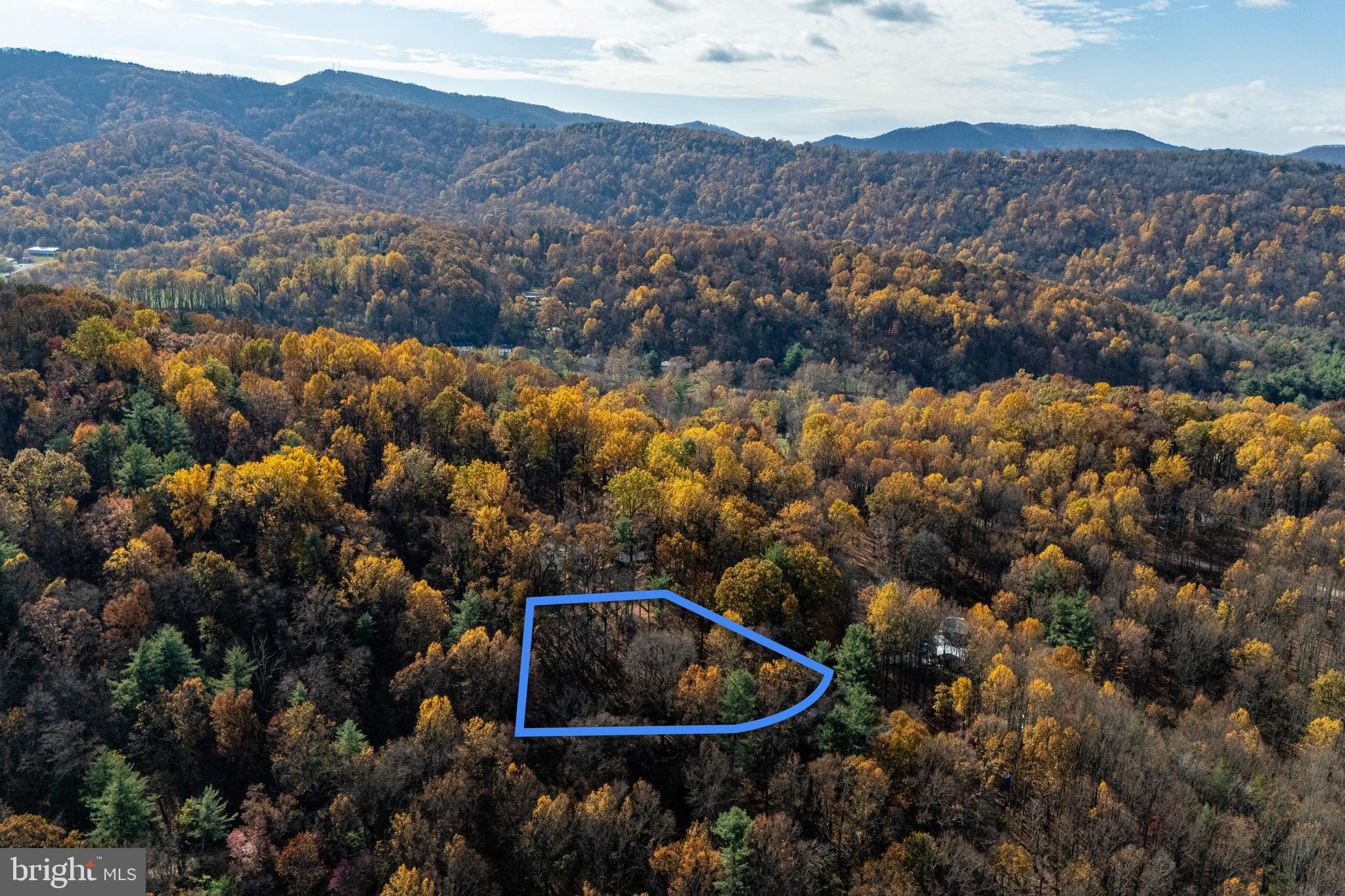 POSSIBLE BUILDING LOT - .83 acre, more or less, wooded lot with beautiful mountain views.