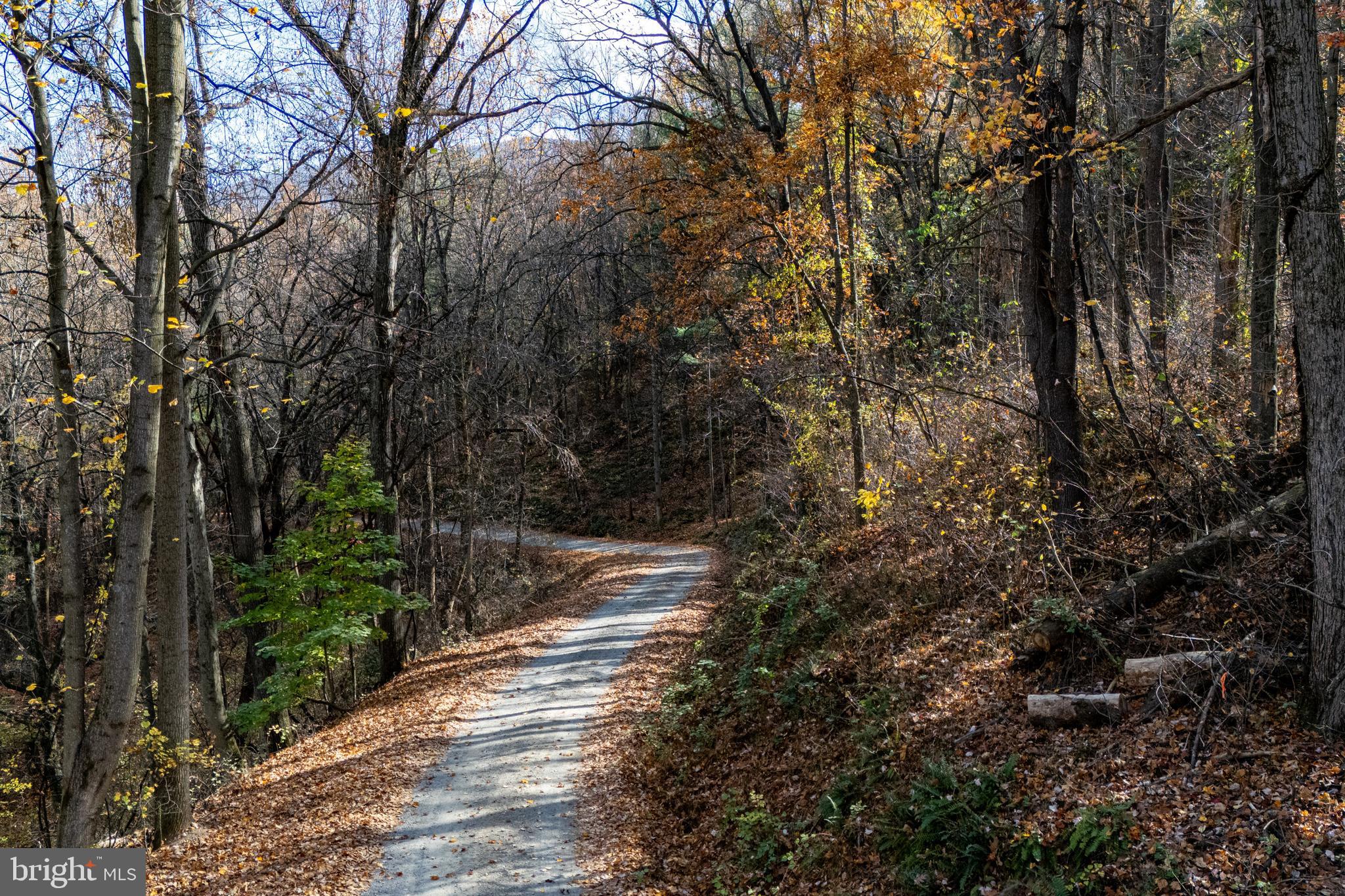 SHEN HIGHLANDS - Land