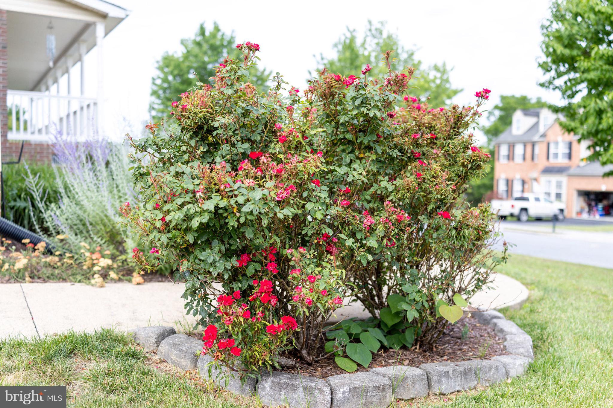 WOODLAWN ESTATES - Residential