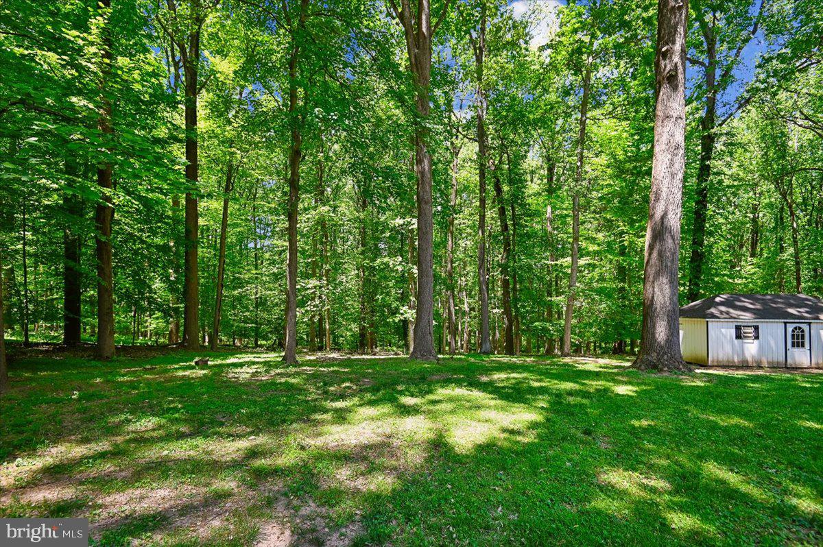 SIMPSON WOODS - Residential